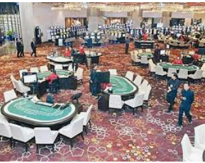 壹号168pg下载电脑免费版